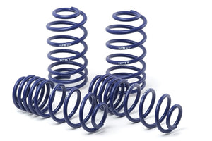 H&R 95-99 Mercedes-Benz S320/S400/S420/S500 W140 Sport Spring (w/Self-Leveling & After 1/1/95)